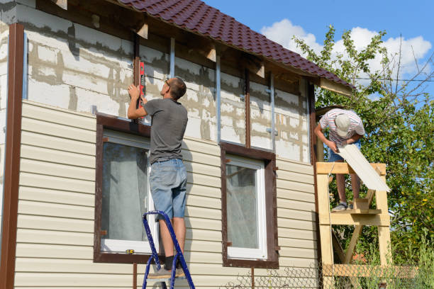Best Vinyl Siding Installation  in Bellevue, NE